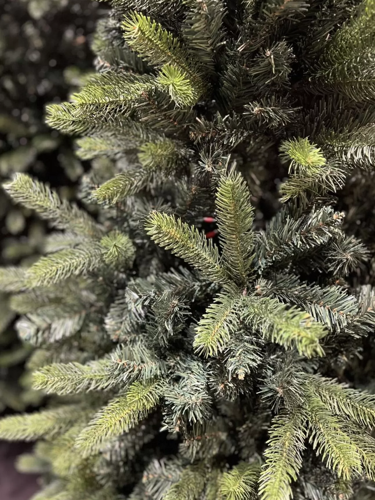 * Alberi Di Natale | Albero Di Natale Matera 210Cm Verde